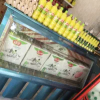 یخچال قدیمی مغازه الکترو استیل