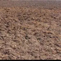 زمین کشاورزی دیمه زارفریمان