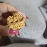 فروش گردو