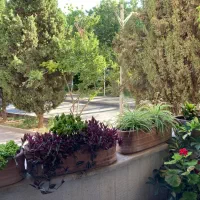 خونه ای روشن و دلباز با ویو پارک دشتستان