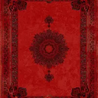 فرش رادوین //بدون نیاز به چک/تعویض نوباکهنه»|فرش|برازجان, |دیوار