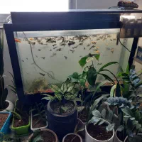 آکواریوم مدل ال سی دی