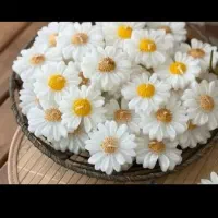 شمع گل بابونه