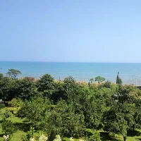 کارت ملی. گم شده