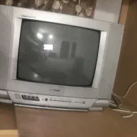 تلویزیون