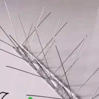 پرنده پران شاخک استیل