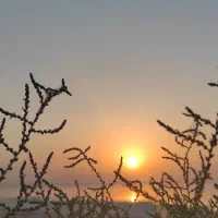 تور گردشگری|تور و چارتر|ارومیه, |دیوار