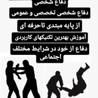آموزش دفاع شخصی حرفه ای