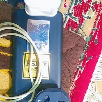 کله شارژرو کابل شیامی ۵٪۲۲ ولت|لوازم جانبی موبایل و تبلت|پلدختر, |دیوار