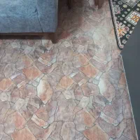 موکت|موکت|لنگرود, |دیوار