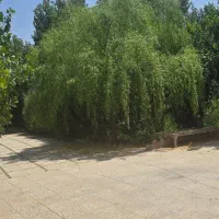 باغ ۱۰۰۰ متری ۴ دیواری