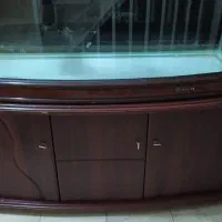 اکواریوم خارجی|ماهی|مشهد, فرهنگیان (شهرک غرب)|دیوار