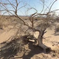 بار تفتان پاکستان زاهدان