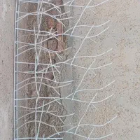 حفاظ شاخ گوزنی|خدمات پیشه و مهارت|زابل, |دیوار