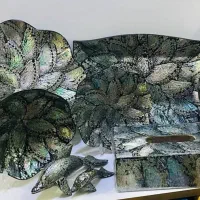 فروش انواع صدف و دکوری های صدفی|صنایع دستی و سایر لوازم تزئینی|قشم, |دیوار