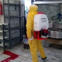 گروه سمپاشی تضمینی ایران غرب سم پاشی سوسک ساس
