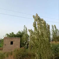 باغ زیبا نزدیک به شهر|فروش زمین و ملک کلنگی|میاندوآب, |دیوار