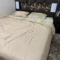 سرویس خواب دو نفر|تشک تختخواب|اصفهان, خانه اصفهان|دیوار