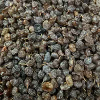 کشمش علیرضا|عمده‌فروشی|تاکستان, |دیوار