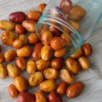 تولید نهال سنجد قزل|خدمات باغبانی و درختکاری|خوسف, |دیوار