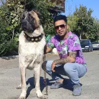 سگ سراب سگ‌ پژدر و ژرمن شپرد