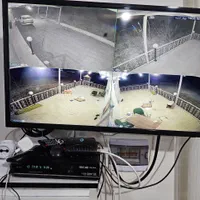 ویلا باغ دارای آب برق گاز در اهر 4200متر|فروش خانه و ویلا|تبریز, |دیوار