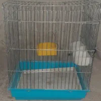 قفس پرنده