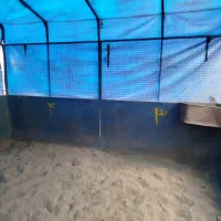 باکس سیار اسب|اسب و تجهیزات اسبسواری|تهران, آشتیانی|دیوار