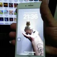 آیفون 8 پلاس|موبایل|رباط‌کریم, رباط‌کریم|دیوار