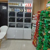 انواع برنج ایرانی وخارجی انواع قندو چای وشکر|خوردنی و آشامیدنی|ایوان, |دیوار