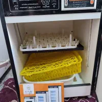 دستگاه جوجه کشی