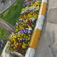 لوله کشی ابیاری قطره ای، تزئینات باغچه|خدمات باغبانی و درختکاری|تهران, شهرک غرب|دیوار