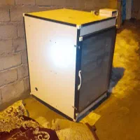 دستگاه جوجه کشی|لوازم جانبی حیوانات|هشترود, |دیوار