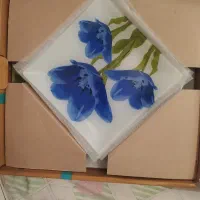 ظرف میوه خوری شیشه ای|ظروف سرو و پذیرایی|سمنان, |دیوار