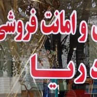 شبرنگ نویسی با کیفیت ممتاز|خدمات پیشه و مهارت|میانه, |دیوار