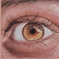 آموزش و خدمات تخصصی تتو