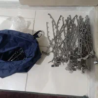 رگال تیله ای