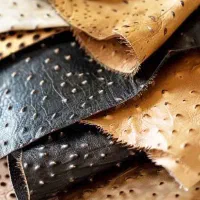 چرم شتر مرغ طبیعی قیمت استثنایی و توافقی