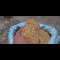 کنجاله جوانه ذرت و پوسته سویا