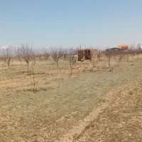 باغ-شهر-سبز-امید-در-سلطانیه