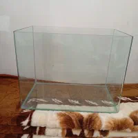 آکواریوم متوسط