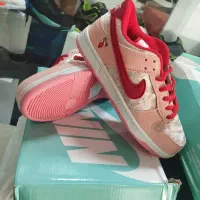 فروش فوق العاده در جزیره کیش|کیف، کفش، کمربند|کیش, |دیوار