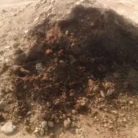 کود گاو وگوسفندی