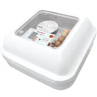 دستگاه جوجه کشی|لوازم جانبی حیوانات|اهواز, فاز ۲ پادادشهر|دیوار