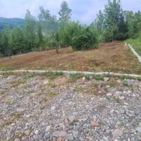 310متر زمین ابتدای جاده دوهزار دهکده هراتبر|فروش زمین و ملک کلنگی|تنکابن, |دیوار