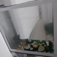 پمپ اکواریوم و اکواریوم ، لوازم اکواریوم