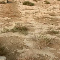 زمین-پشت-بند-دره-سند-تک-برگ