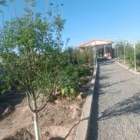 باغ ویلایی جاده نظرلو