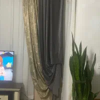 والان مخمل طوسی