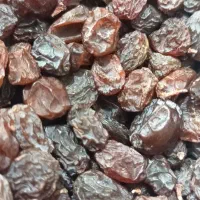 کشمش  تاکستان درجه یک تمیز گوشتی خوشمزه|خوردنی و آشامیدنی|قم, زنبیل آباد|دیوار